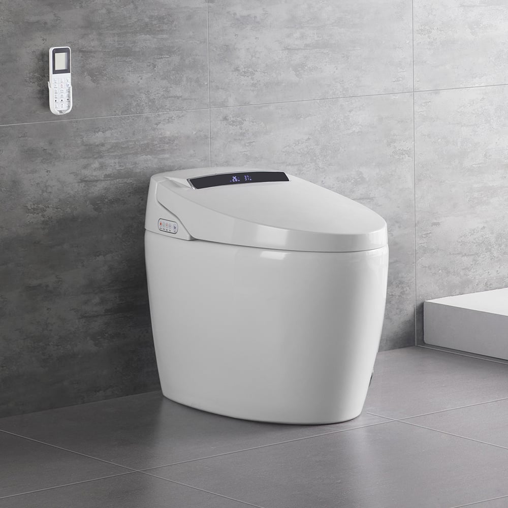 Stand Dusch-WC: Die Revolution im Badezimmer