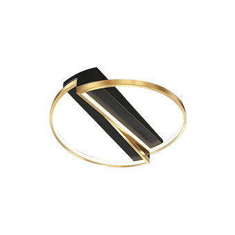 Flush Ceiling Lights