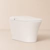 Smart Toilet Modern White Rimless Back To Wall with Dual Flush (3 Star)