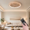 French Elegant Natural Resin 3D Carved LED 3 Modes Dimmable Flush Ceiling light