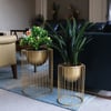 400mm Modern Flower Stand Gold Plant Stand for Indoors Modern Flower Stand in Small