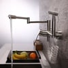 Modern Retractable Wall-mounted Pot Filler Brushed Nickel Kitchen Faucet with Spray