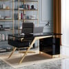Hungled Modern 55" Rectangular Black Executive Desk with Storage Cabinet