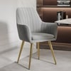 Modern Light Gray Velvet Dining Chair with Cushioned Seat, 2 Pieces