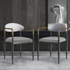 Otrast Series Set of 2 Modern Dining Chairs with Upholstered in White and Gray