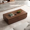 Fero Mid Century 47" Walnut Rectangular Coffee Table with 4 Drawers