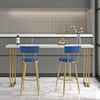 Affordable Luxury Modern Velvet Bar Stools with Upholstery Blue
