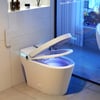 Toilette japonaise wc japonais monobloc allongée abattant et chasse d'eau automatique 5L