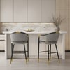 Cranis Gray Velvet Counter Stool with Upholstered, 1 Piece