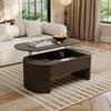 Modern 47" Oval Lift Top Mid-Century Coffee Table
