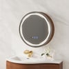 24" Round LED Walnut Medicine Cabinet with Storage, Anti-Fog, Dimmable