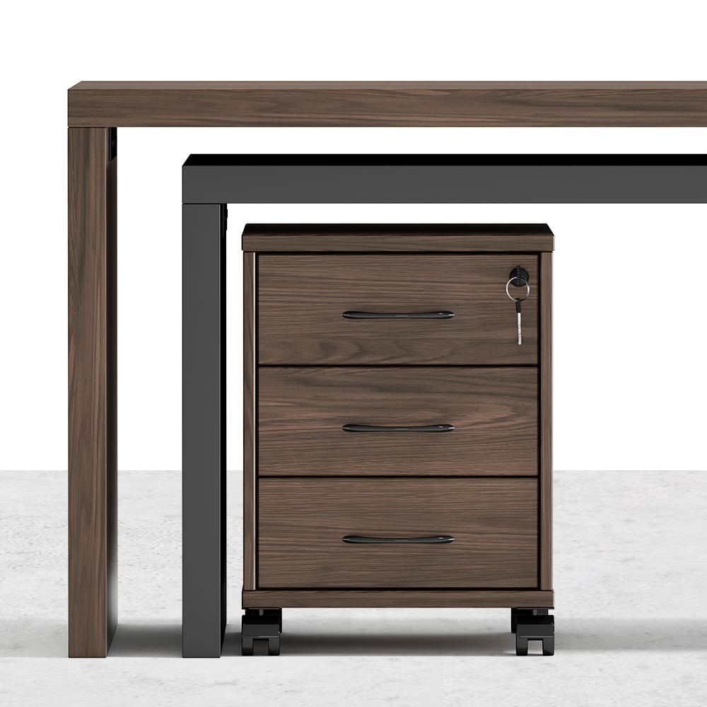 Modern L Shaped Executive Desk with Movable File Cabinet, Black & Walnut Office Desk for Home & Office (59.8'')｜Homary  UK
