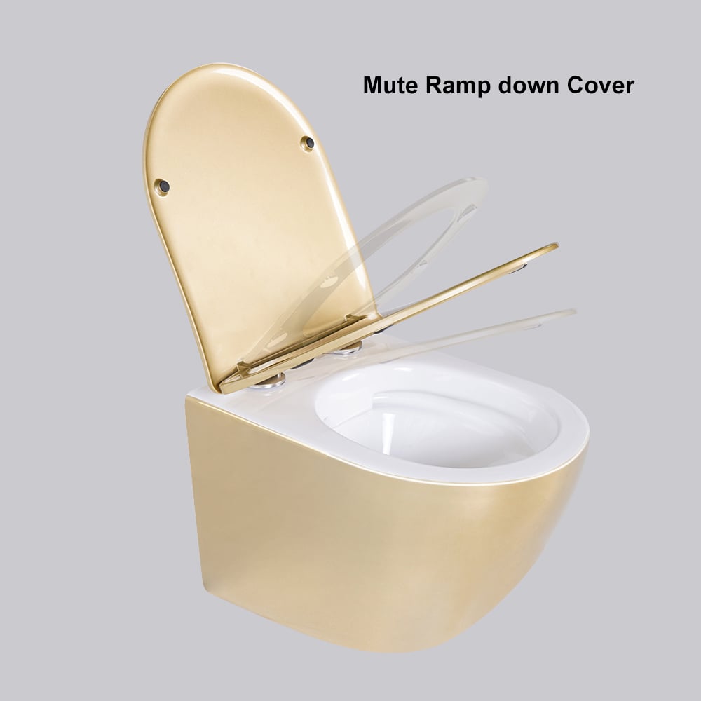 Questions and Answers for Luxury Round Wall-Mounted Toilet Rimless Flushing Ceramic