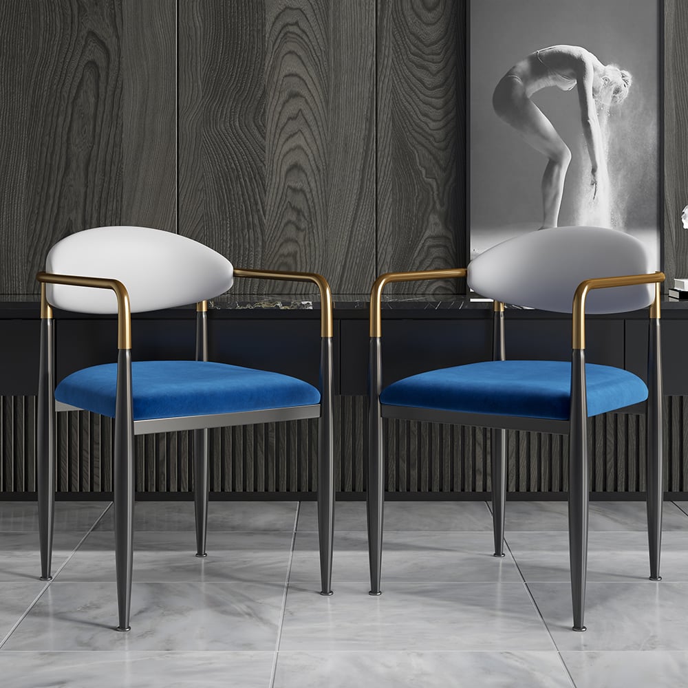 Questions and Answers for Otrast Series Set of 4 Modern Dining Chairs Upholstered Arm Chair in White and Blue