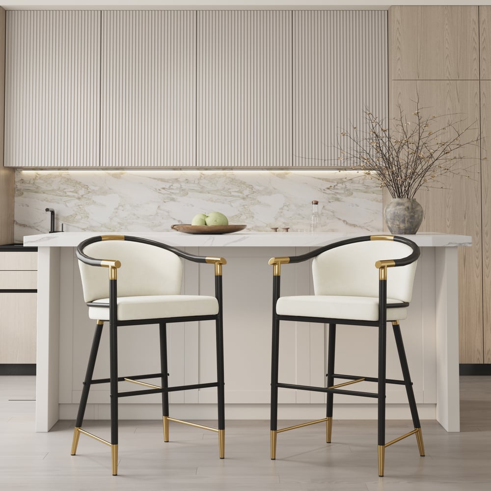 Questions and Answers for Cranis Beige Velvet Counter Stool with Upholstered, 1 Piece