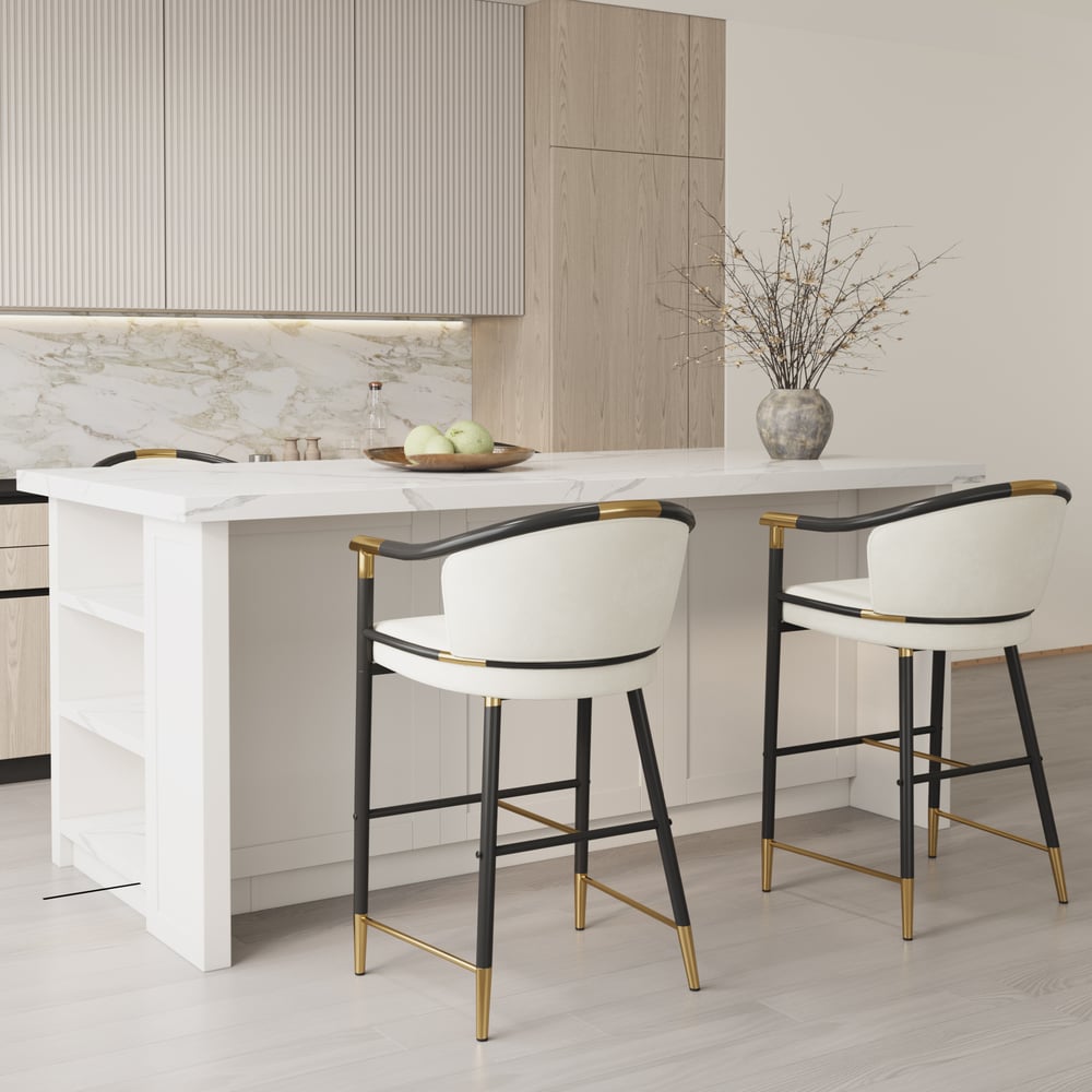 Questions and Answers for Cranis Beige Velvet Counter Stool with Upholstered, 1 Piece