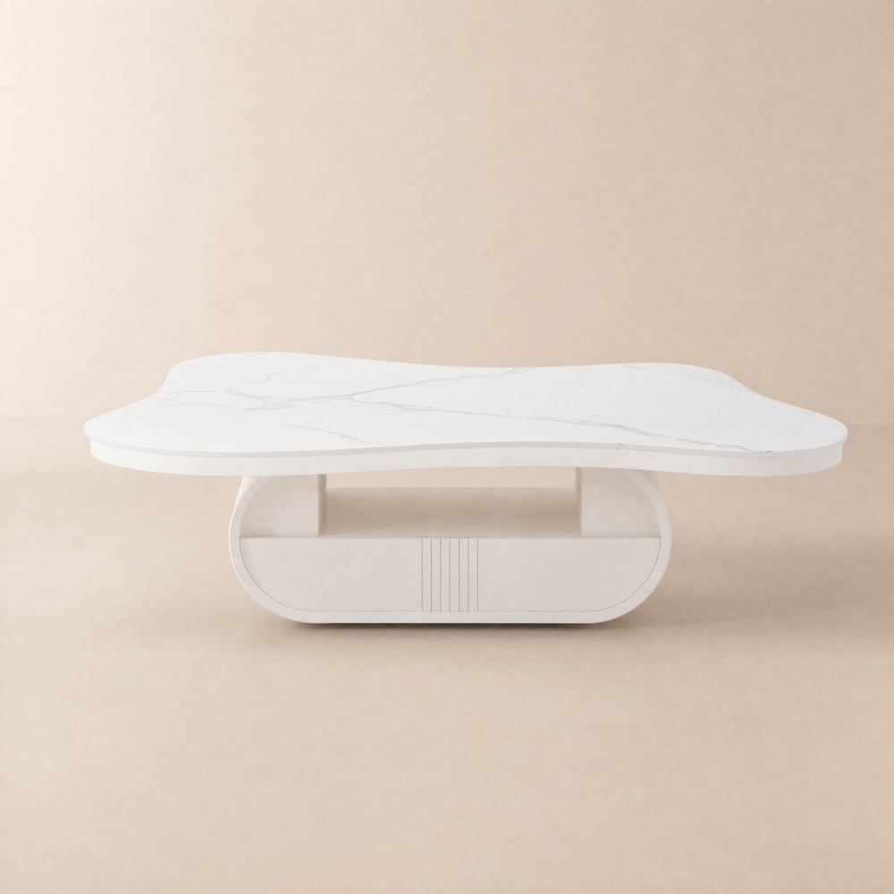 1295 mm Oval Sintered Stone Coffee Table with Storage window image