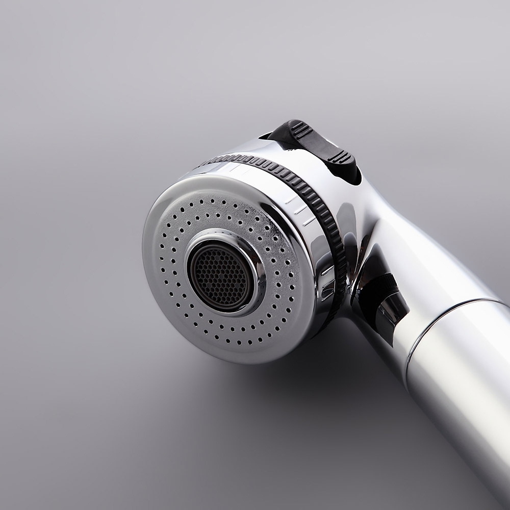 Single Hole Pull-Down Sprayer with Water Filtering Kitchen Sink Faucet in Polished Chrome