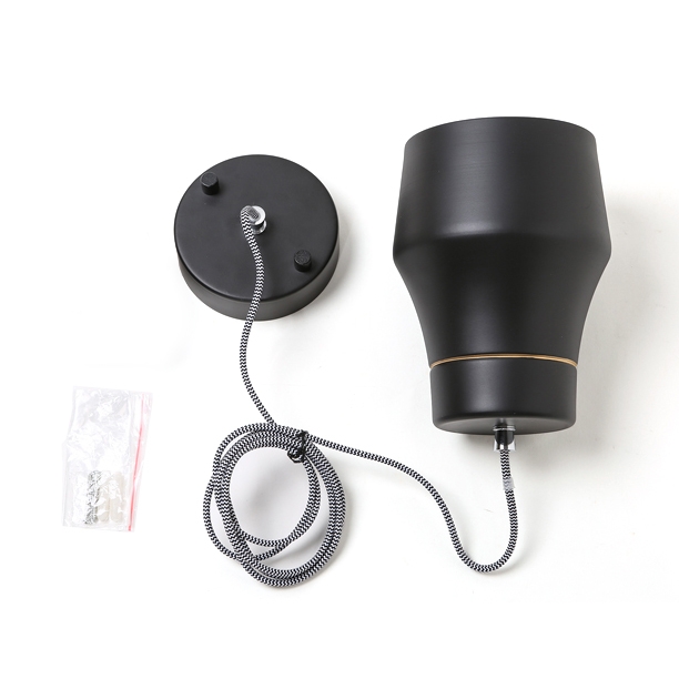 Contemporary Single Light Hanging Pendant Light Fixture in Black window image