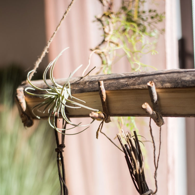 Rustic Style Wall Mounted Decorative Natural Wood Coat Rack with 7 Twig Hooks & Hanging Hemp Rope window image