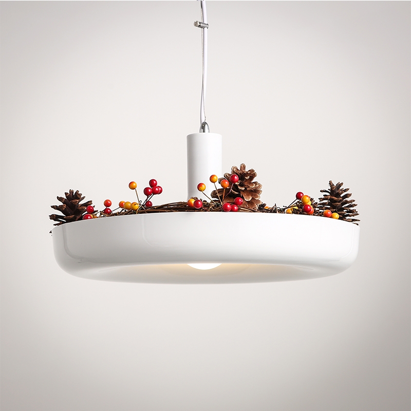 Modern Creative Hanging Garden Plant Single Light Pendant Ceiling Light Fixture window image
