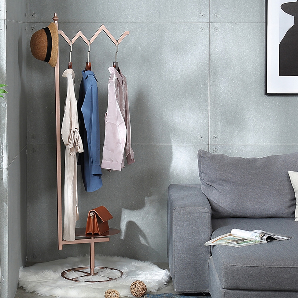 1670mm Unique Standing Cloth Rack with Shelf in Rose Gold window image