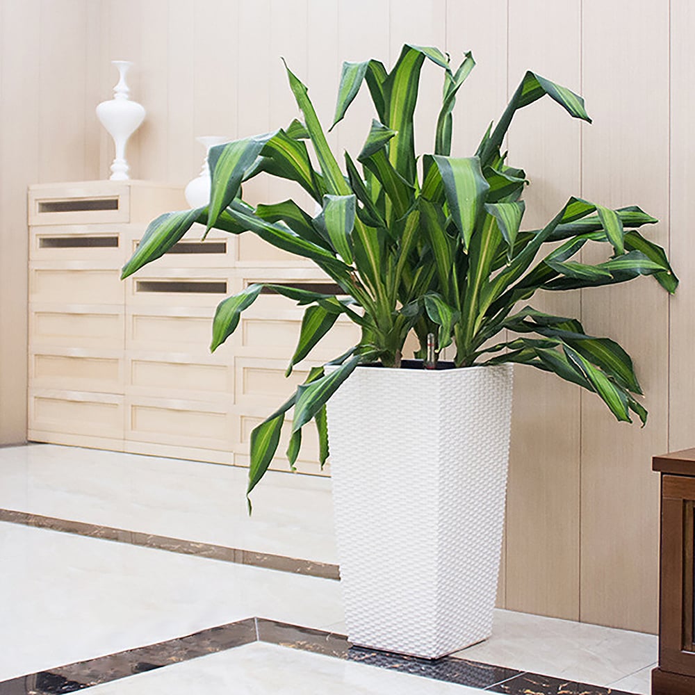 Set of 2 Self Watering Planter Plastic Rattan Freestanding Flower Pot window image