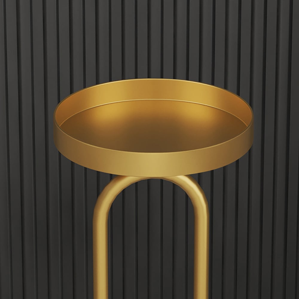 Étagère florale autoportante pour plante dorée nordique 500 mm image de fenêtre