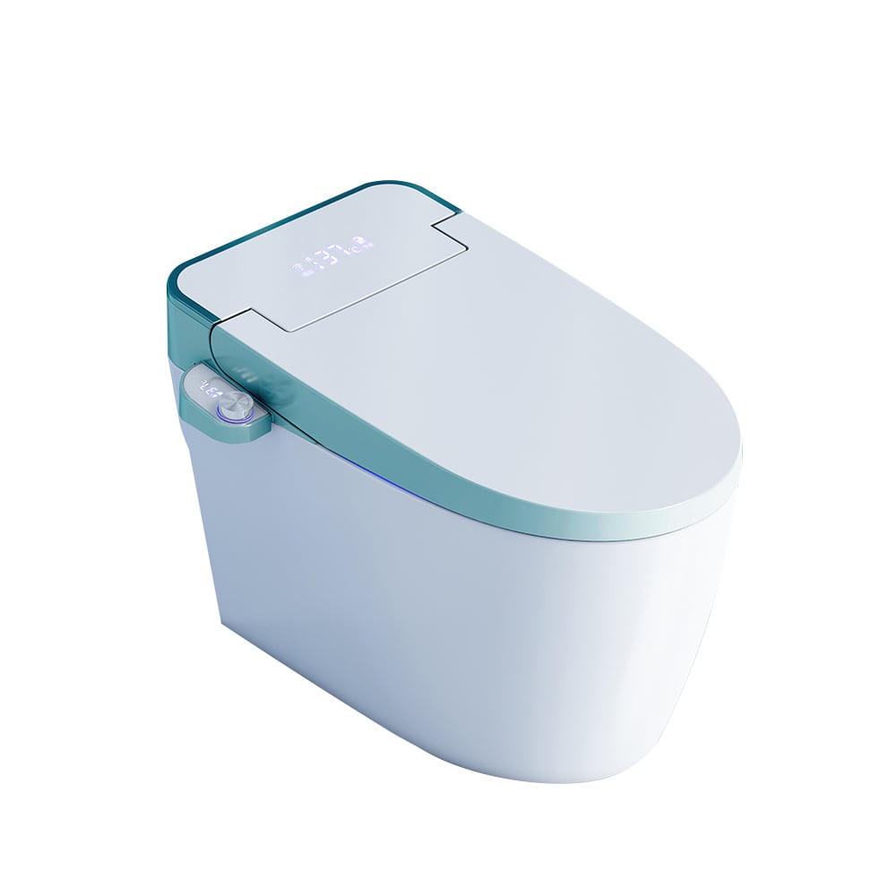 Toilette automatique monobloc allongée monobloc montée au sol autonettoyage image de fenêtre