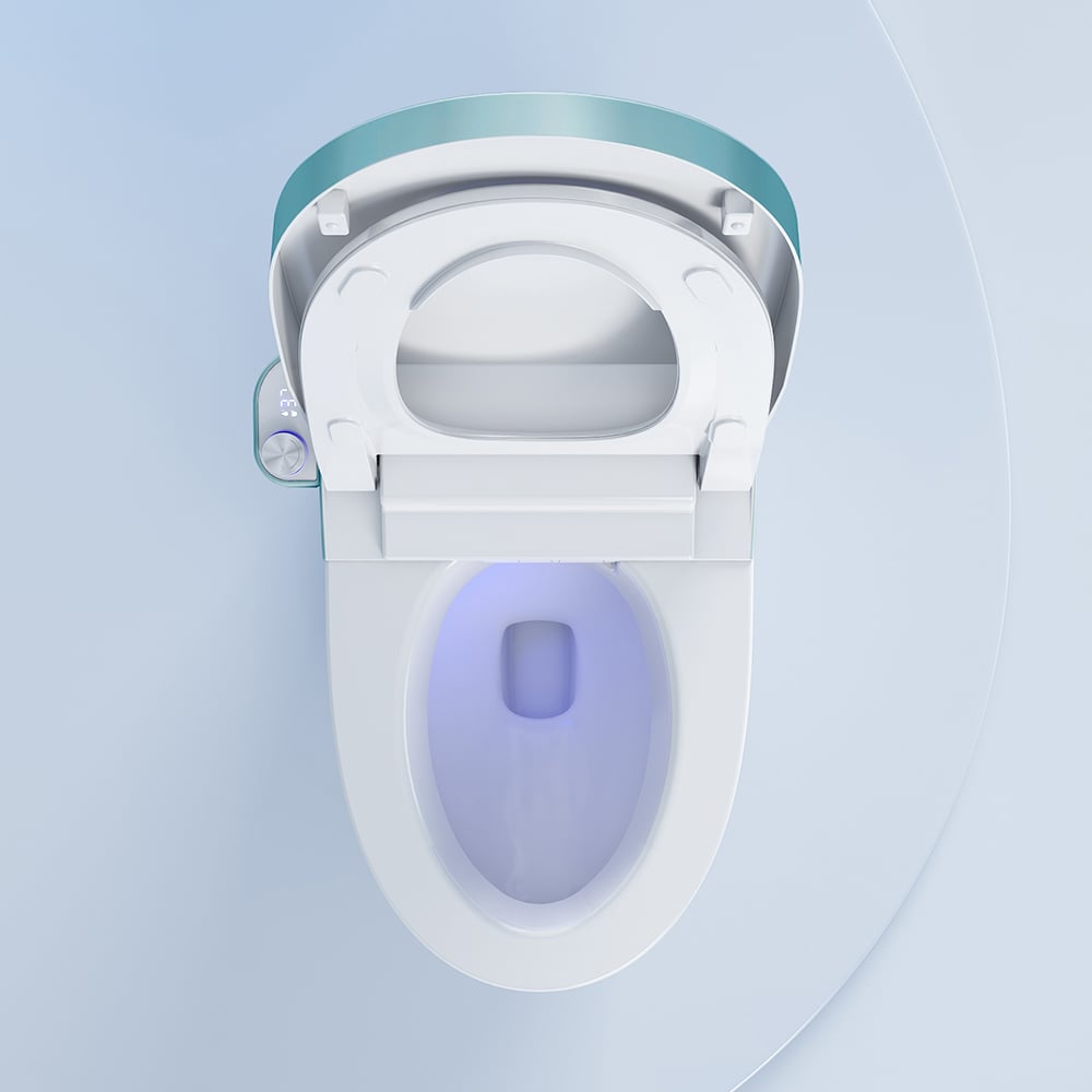 Toilette automatique monobloc allongée monobloc montée au sol autonettoyage image de fenêtre