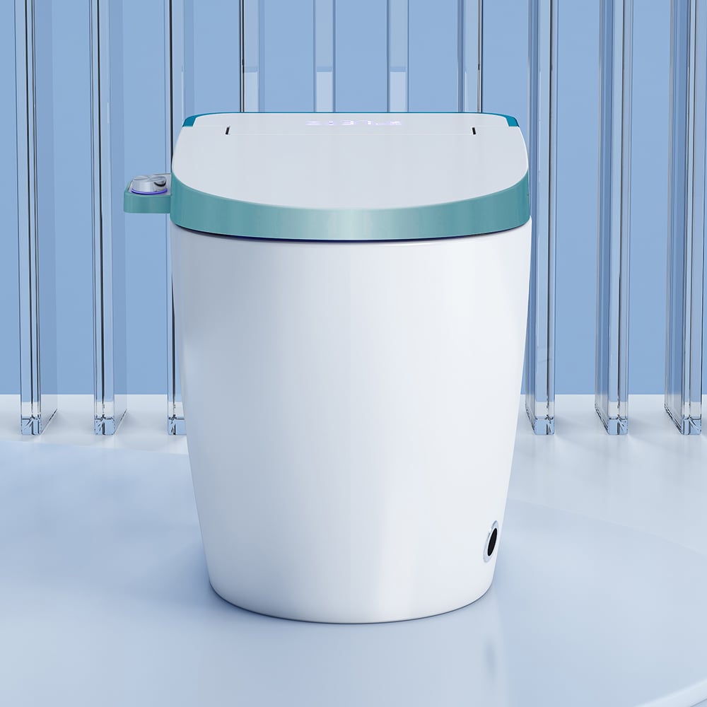 Toilette automatique monobloc allongée monobloc montée au sol autonettoyage image de fenêtre