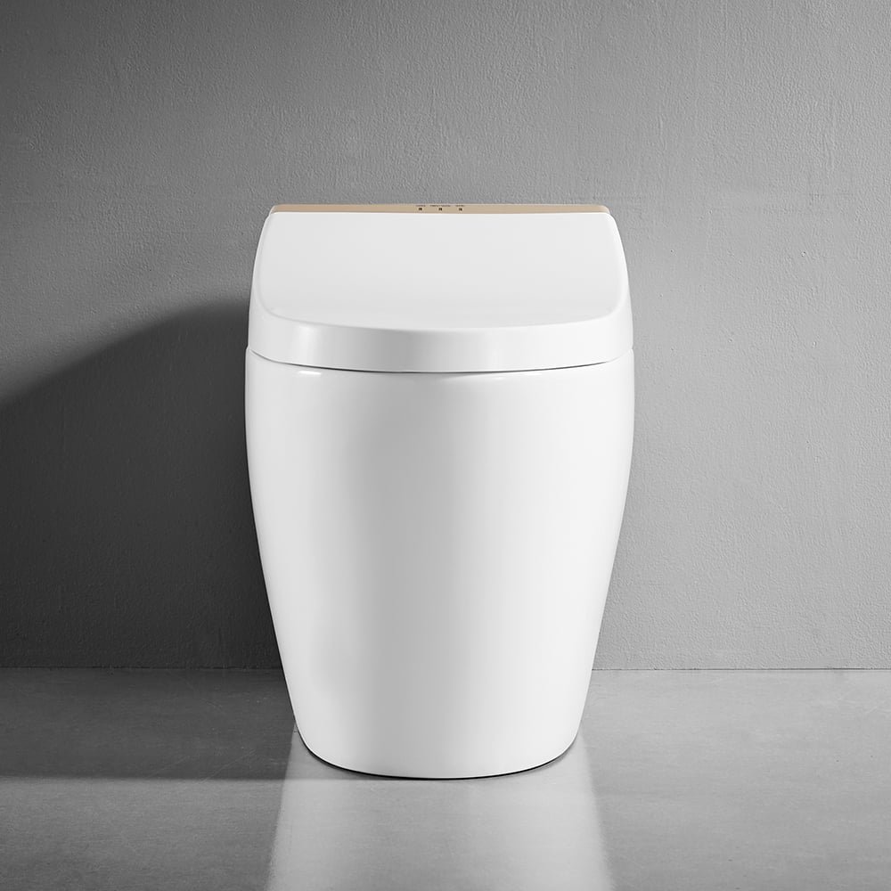 Toilettes automatiques monobloc allongées intelligentes montées au sol autonettoyage image de fenêtre