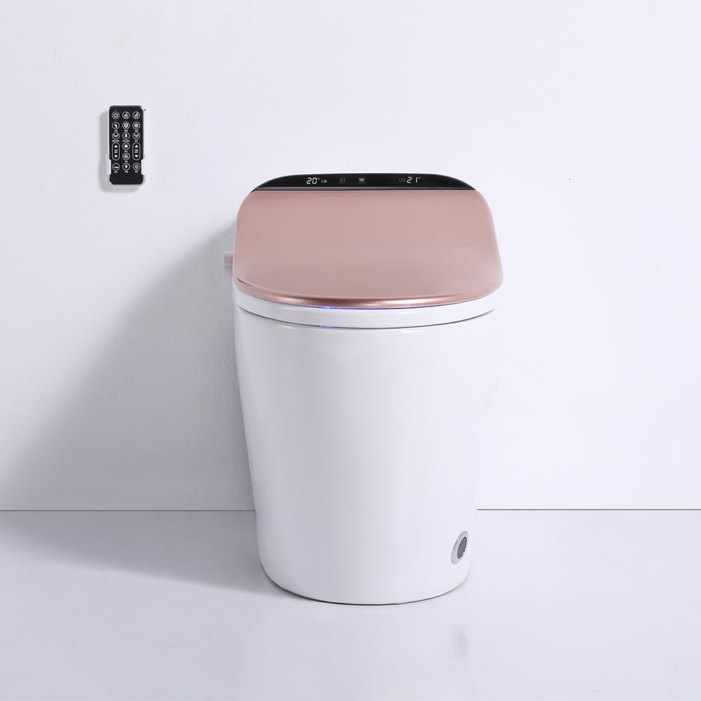 Modern Smart One-Piece 1.27 GPF Floor Mounted Elongated Toilet and Bidet with Seat window image