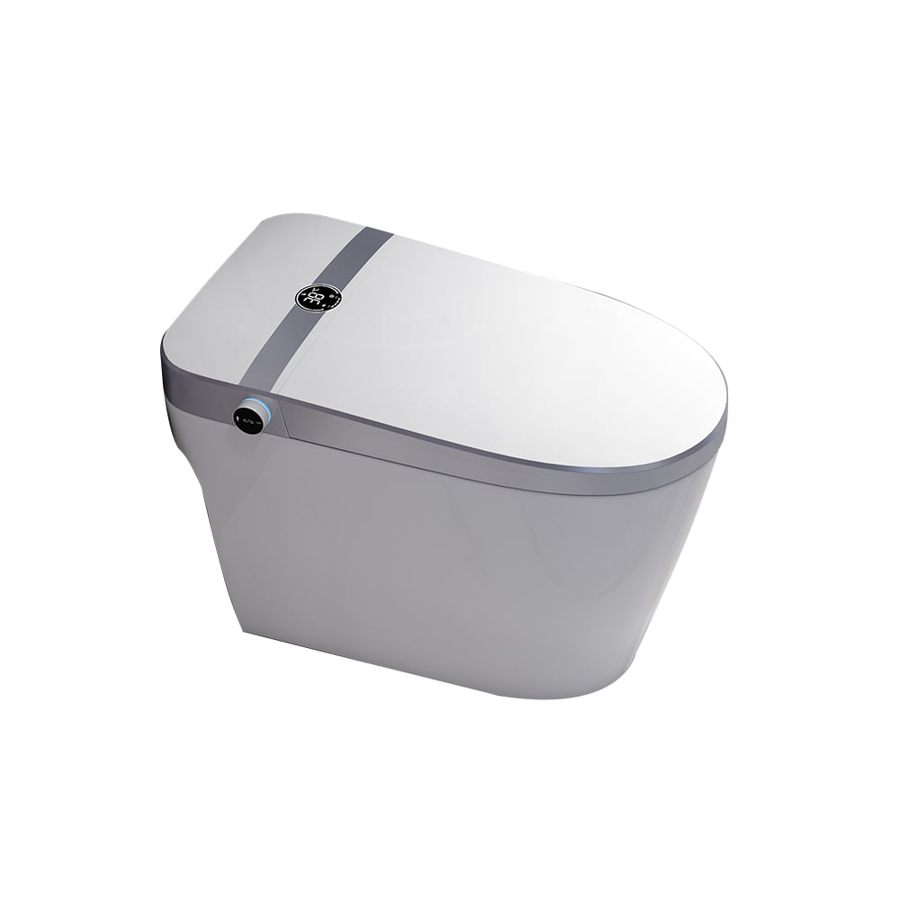 Langwerpig slim toilet uit één stuk, op de vloer gemonteerd automatisch toilet in zilveren rand Vensterafbeelding