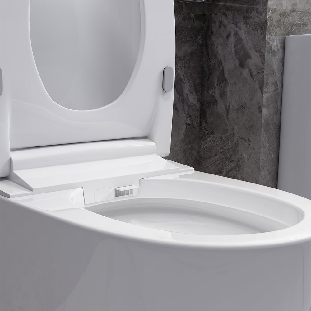 Langwerpig slim toilet uit één stuk, op de vloer gemonteerd automatisch toilet in zilveren rand Vensterafbeelding