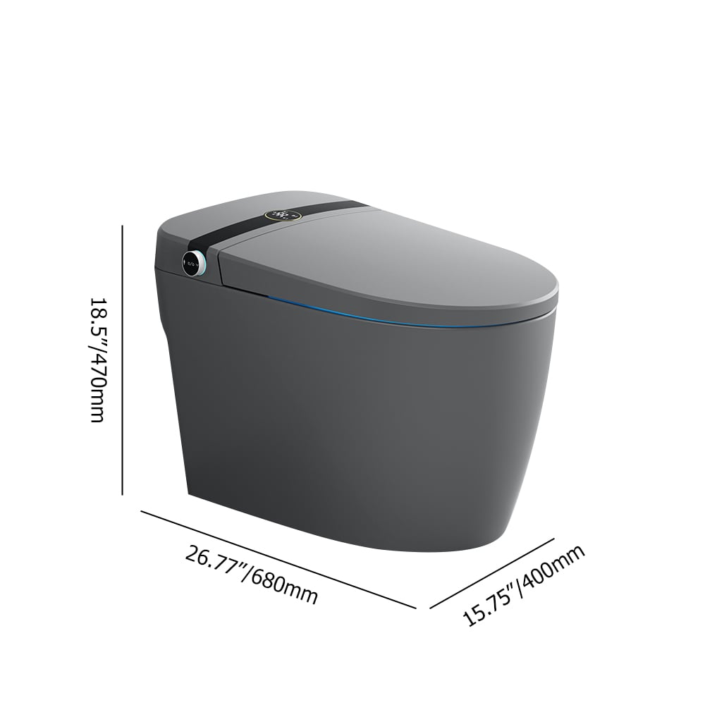 Elongated One-Piece Smart Toilet Floor Mounted Automatic Toilet in Gray weights dimensions image