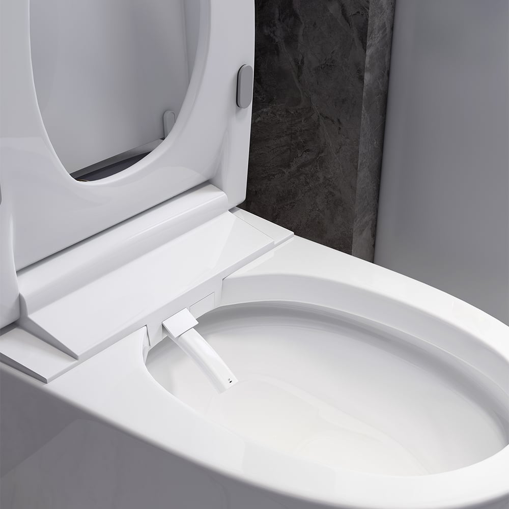 Langwerpig slim toilet uit één stuk, op de vloer gemonteerd automatisch toilet in zilveren rand Vensterafbeelding