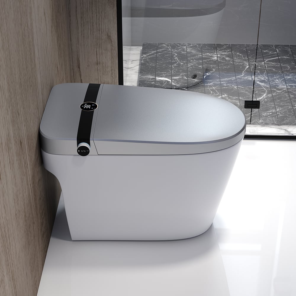 Elongated One-Piece Smart Toilet Floor Mounted Automatic Toilet in ...