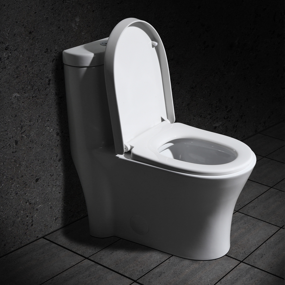 Modern Dual Flush One-Piece Elongated Siphonic Toilet with Slow Close Seat & Lid in White window image