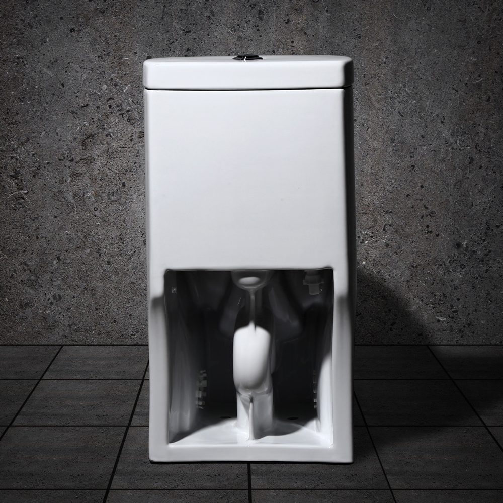 Modern Dual Flush One-Piece Elongated Siphonic Toilet with Slow Close Seat & Lid in White window image