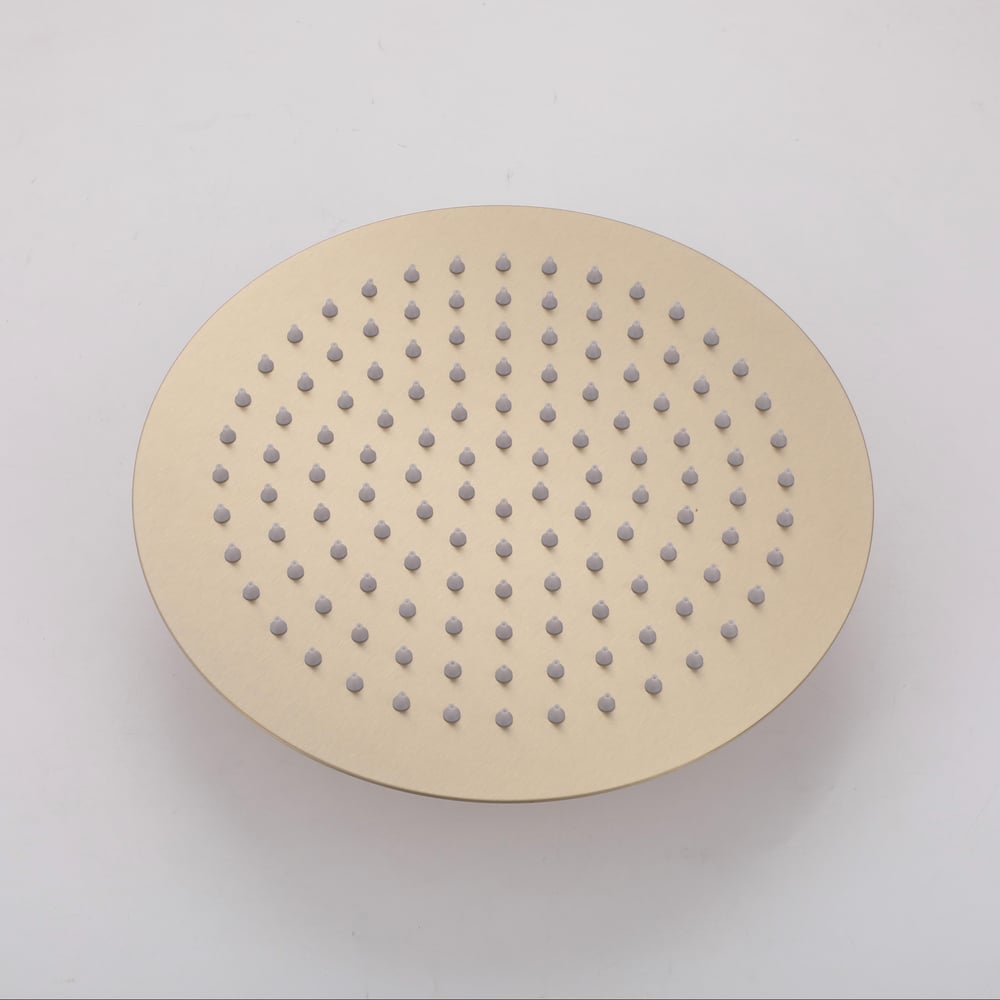 10" Wall-Mounted Shower System Round Brushed Gold 2-Function with Hand Shower window image