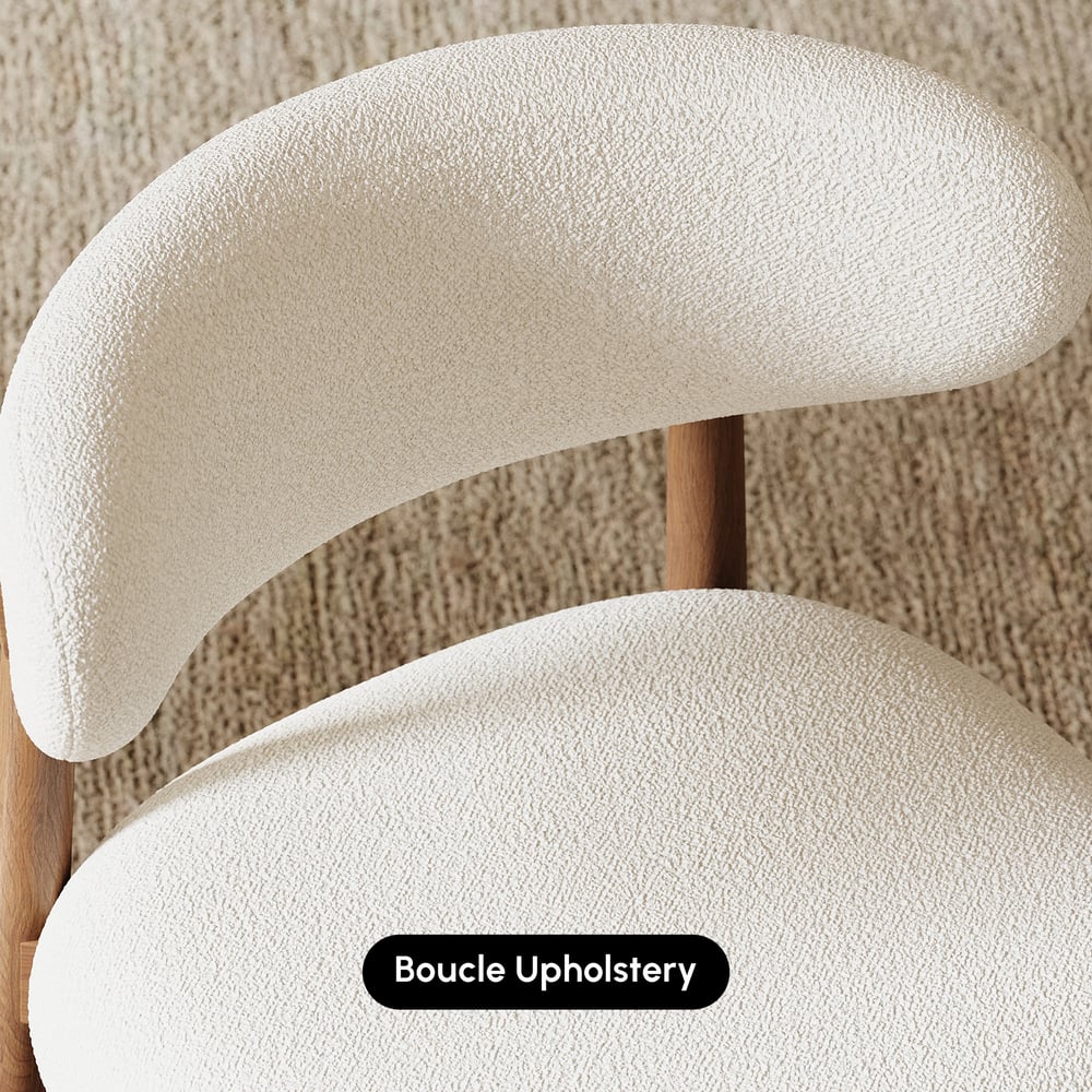 Modern Rubber Wood Walnut Dining Chair with Boucle Upholstery window image