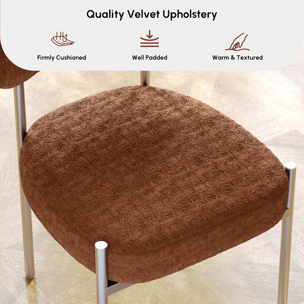 Modern Velvet Upholstered Dining Chair with Curved Back