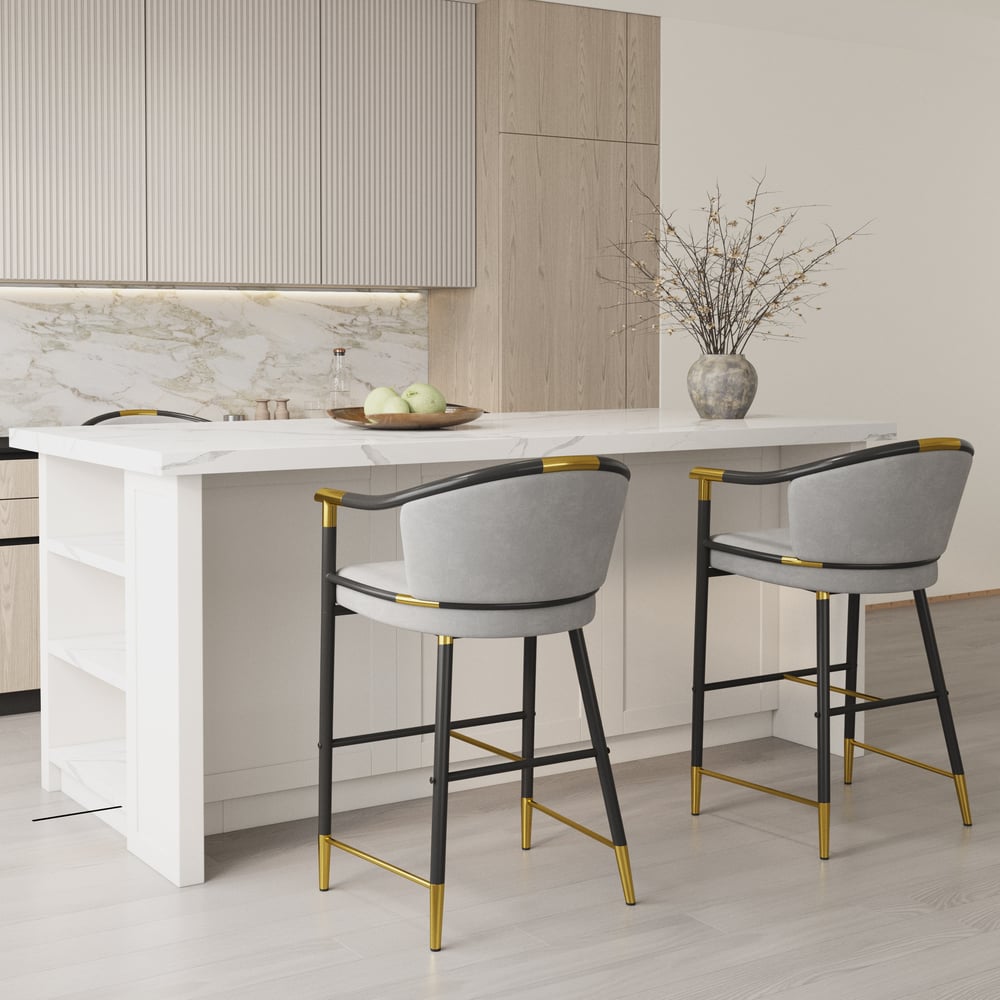 Barové židle Cranis Series Modern Velvet s čalouněním šedá obrázek okna