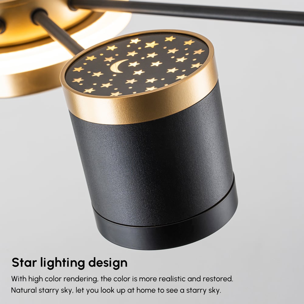 Nordic 12-Light Black & Gold Chandelier LED Ring Starry Reflection Light Dimmable window image