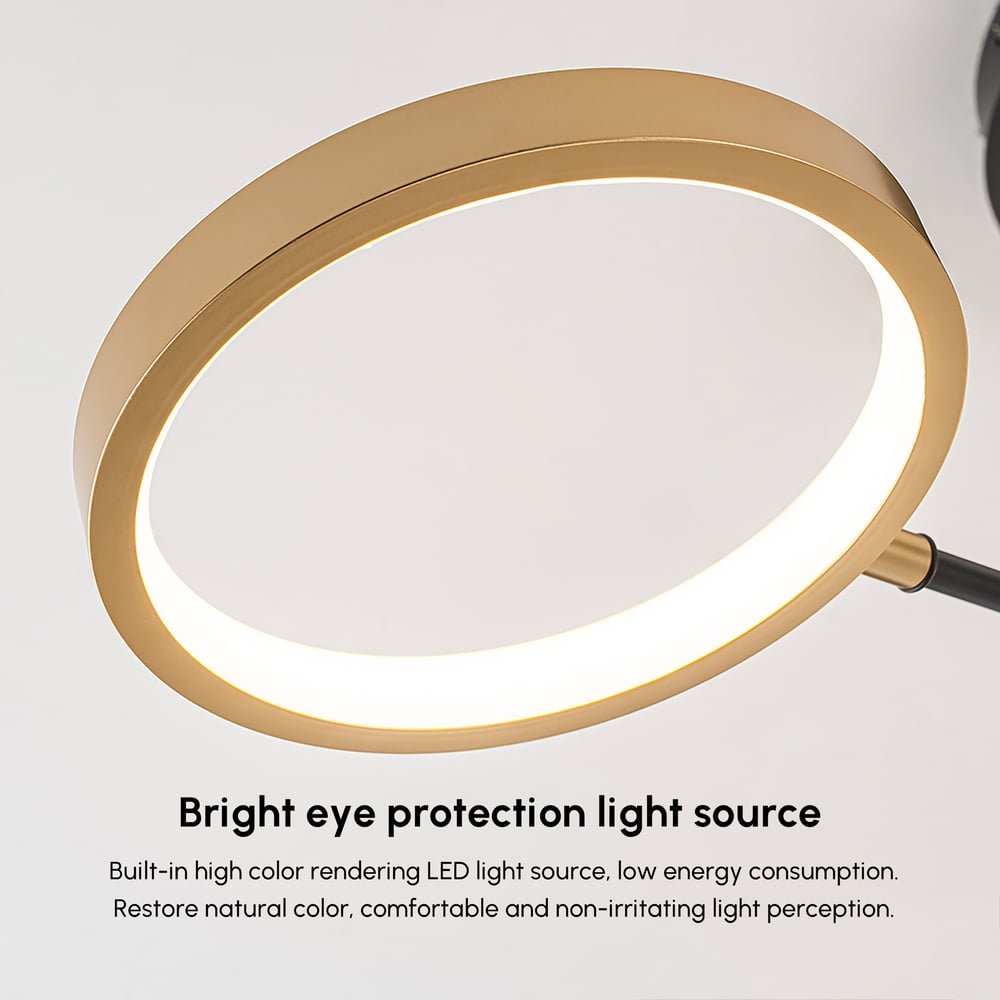 Nordic 12-Light Black & Gold Chandelier LED Ring Starry Reflection Light Dimmable window image