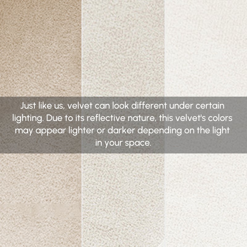 Modern Beige Velvet Dining Chair with Cushioned Seat, 2 Pieces window image