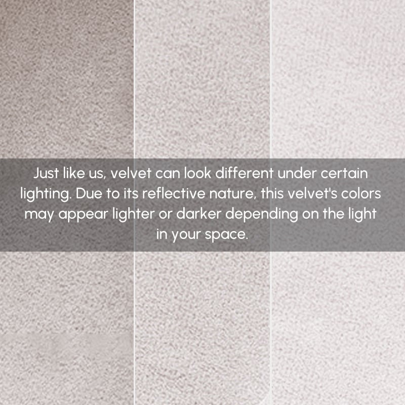 Modern Light Gray Velvet Dining Chair with Wooden Legs, 8 Pieces window image