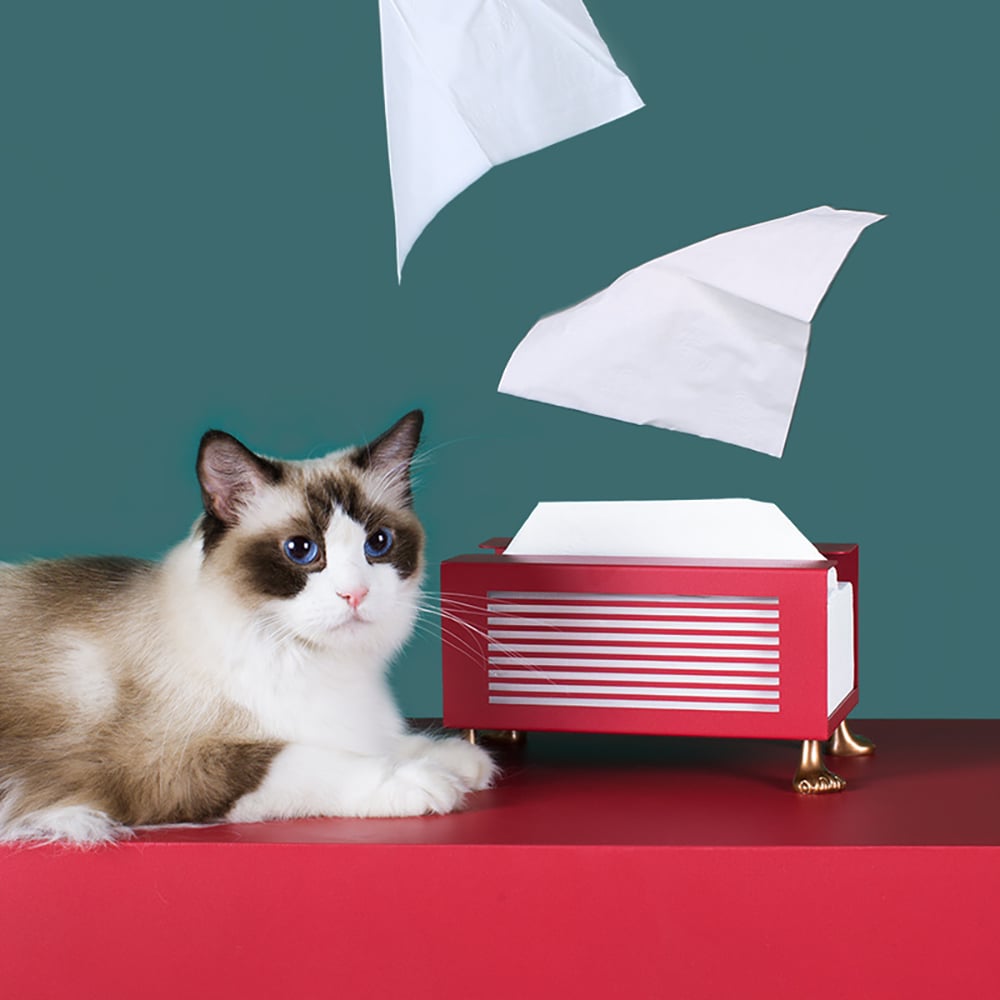 Modern Simple Pull-Out Tissue Box Holder with 4 Cat Legs window image