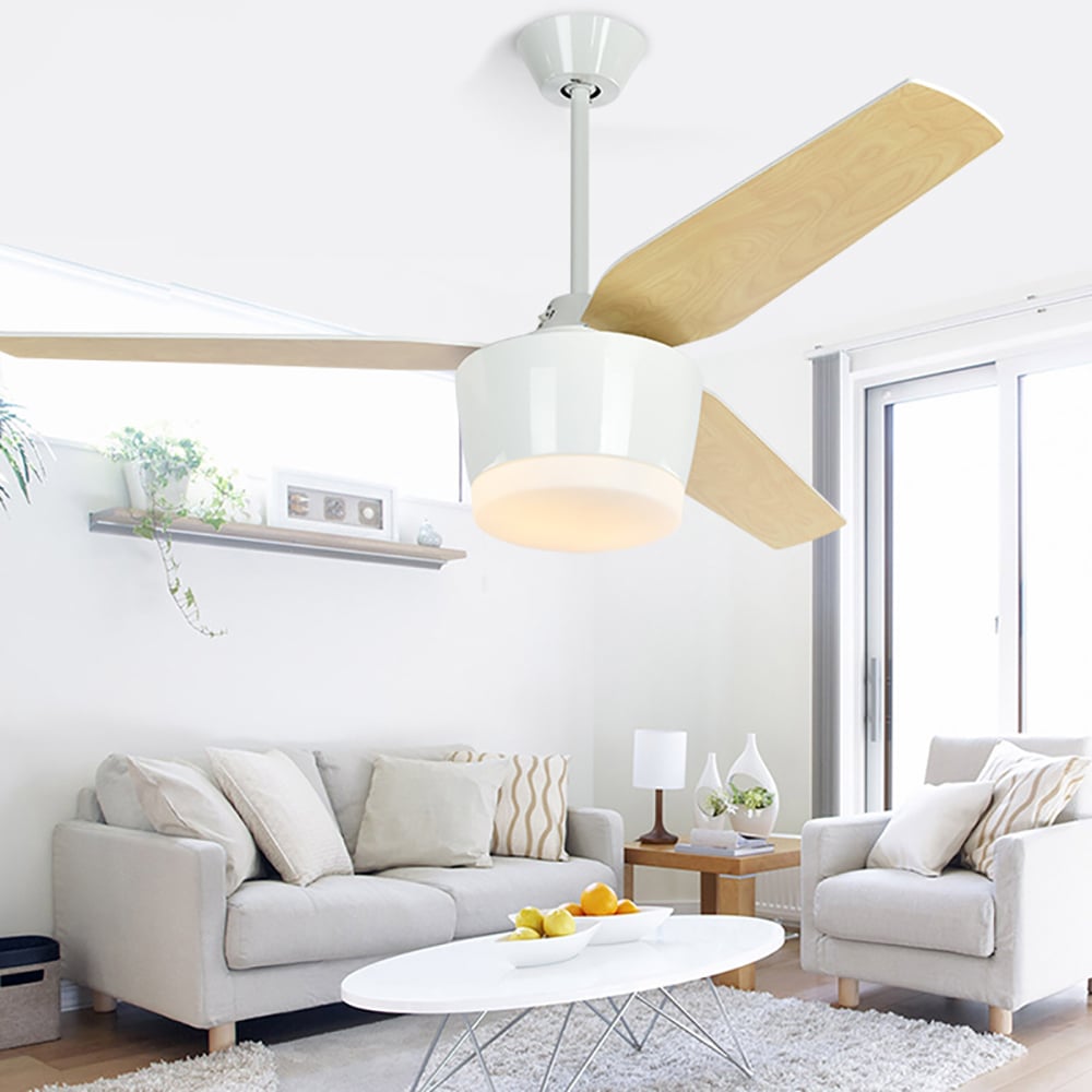 Ceiling Fan Modern Simple Fashion With Remote Control window image
